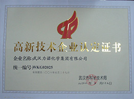 武汉乐玩在线(中国)荣获高新技术企业
